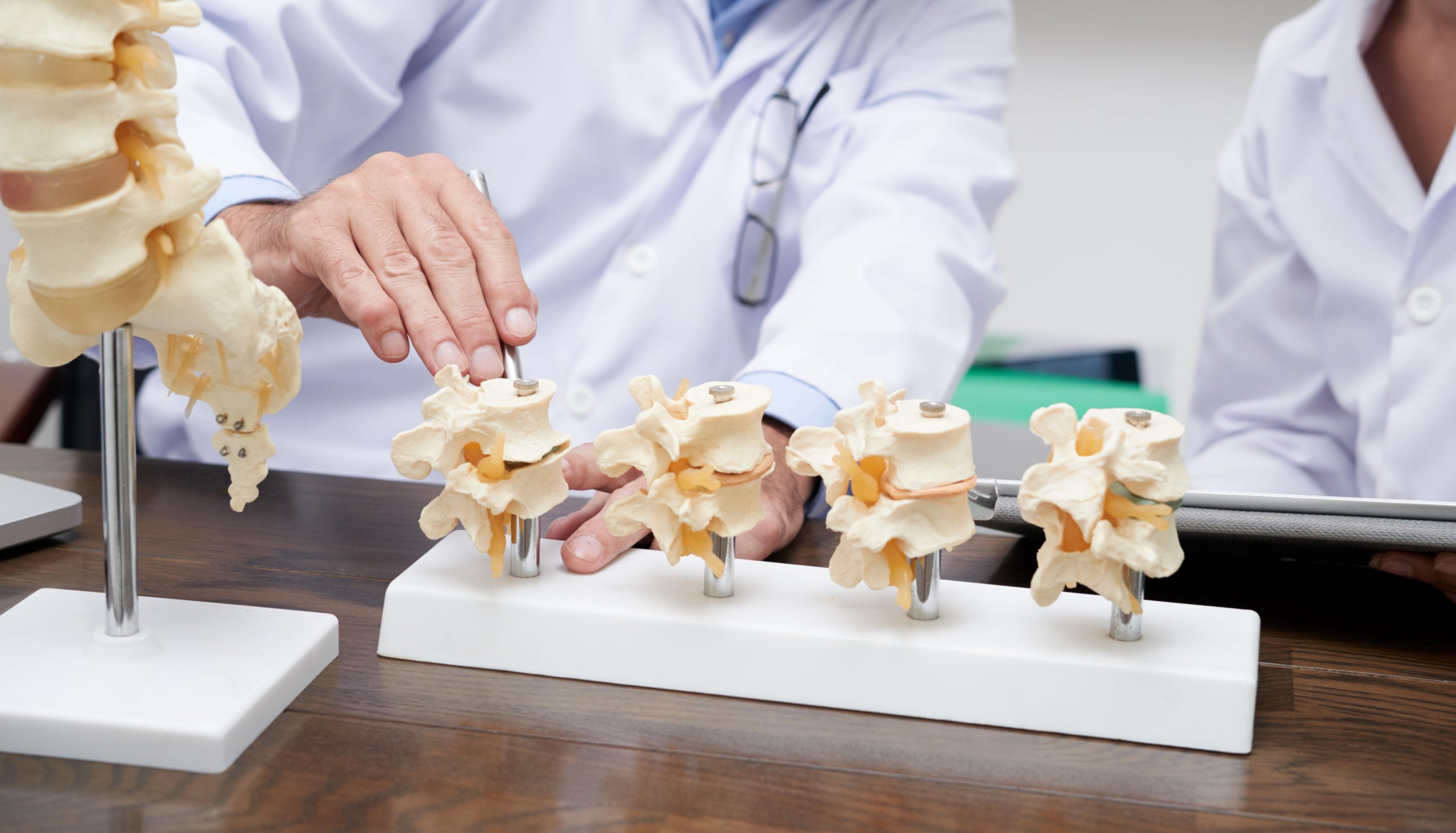 Skeletal Health Educational Resources